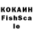 Галлюциногенные грибы Cubensis Kola Kodin
